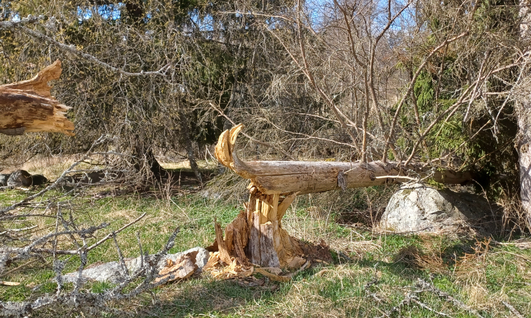 Eventpic